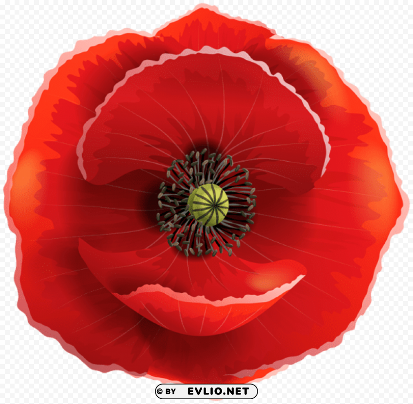 PNG image of poppy High-resolution transparent PNG images set with a clear background - Image ID 1c40d3dd