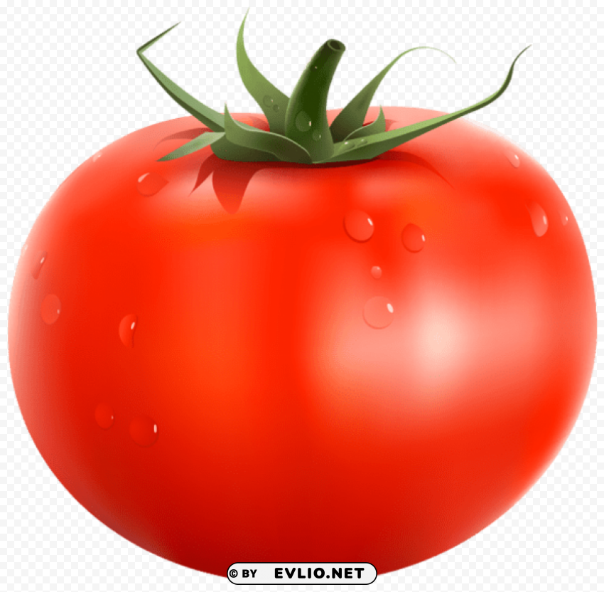 Tomatopicture Free PNG Images With Transparent Backgrounds