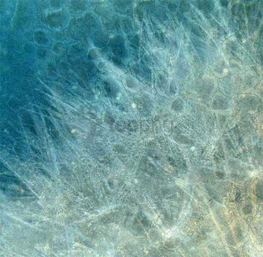 winter texture background Transparent PNG Isolated Graphic with Clarity