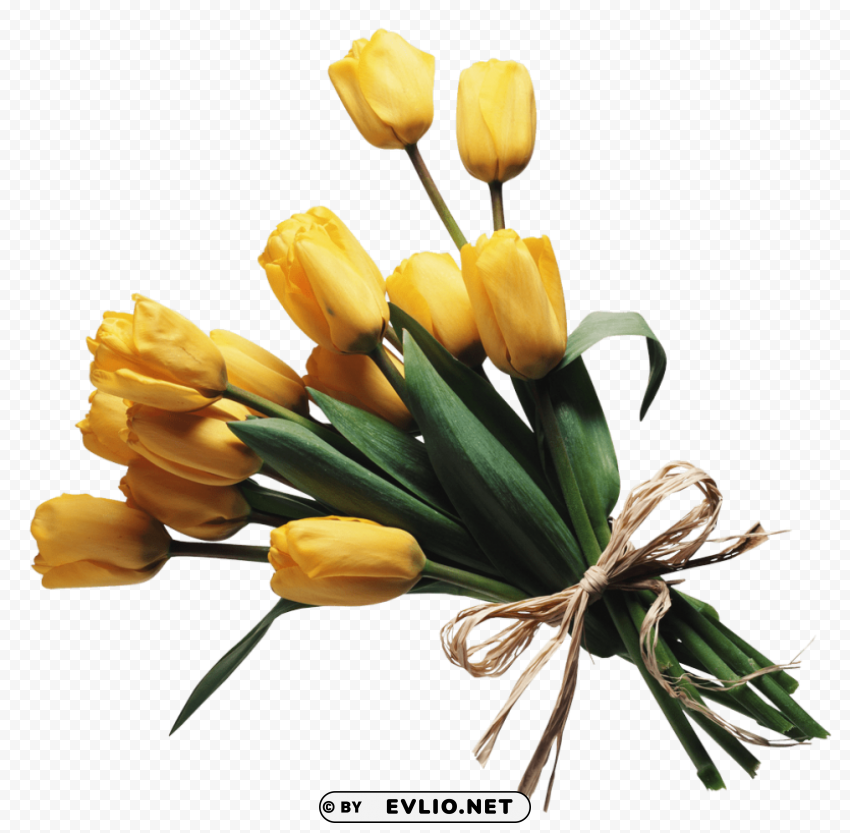 PNG image of bouquet of flowers Isolated Character in Transparent PNG with a clear background - Image ID 96f0b5ff
