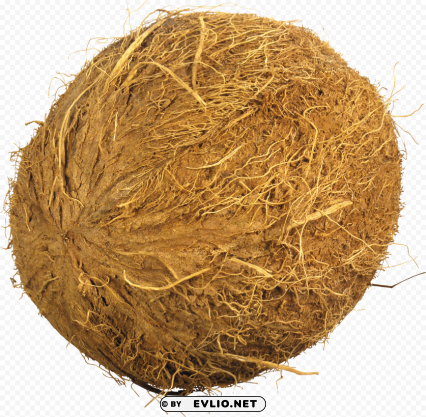 coconuts Isolated Object with Transparency in PNG PNG images with transparent backgrounds - Image ID e516ae20