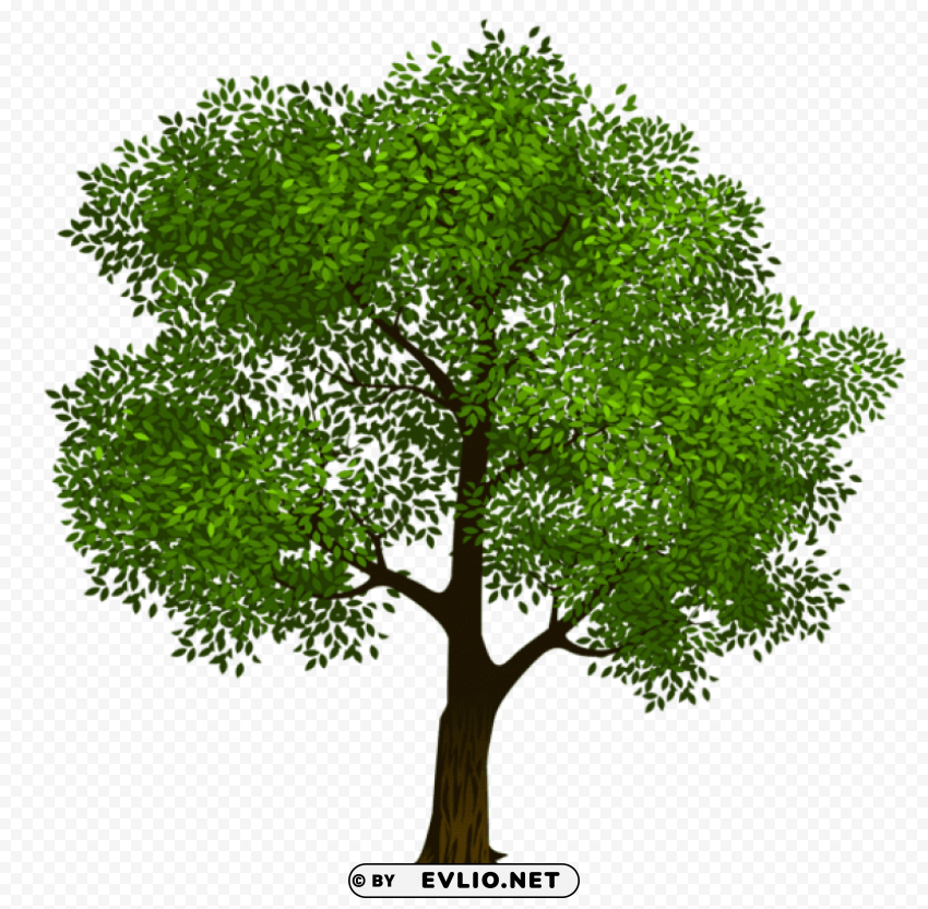 transparent green treepicture PNG file with alpha