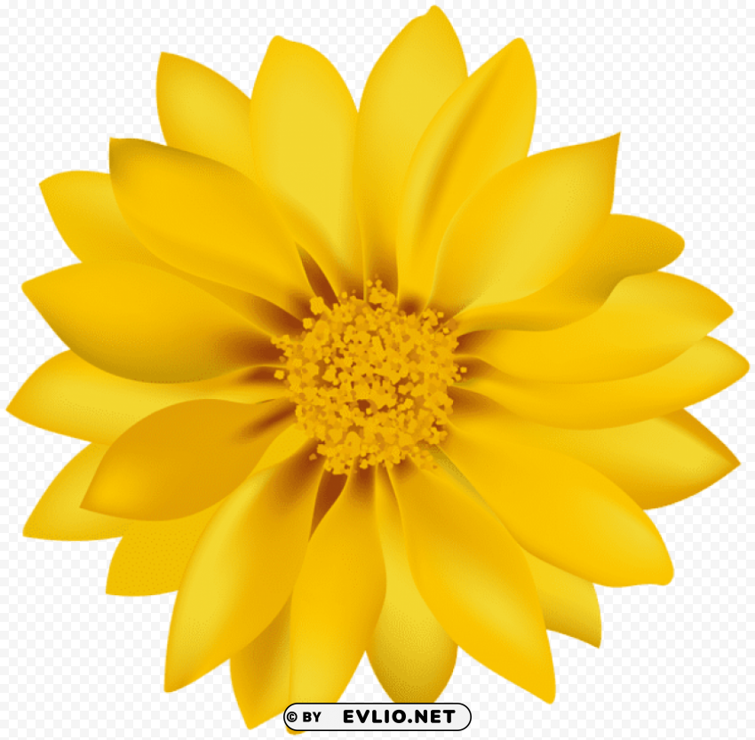 yellow flower transparent PNG images for mockups