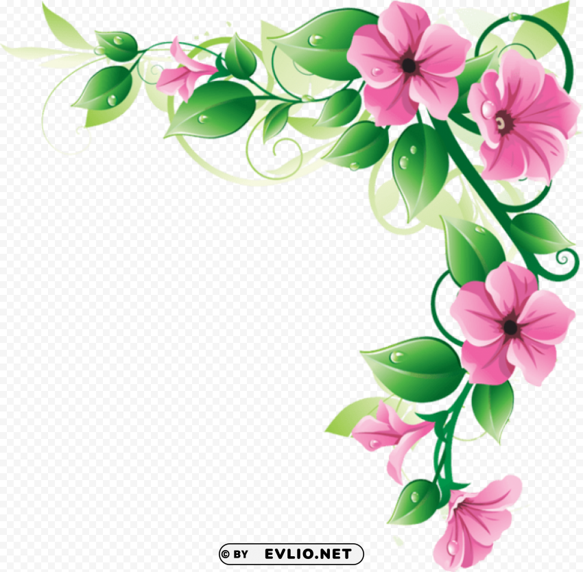 flowers borders Clear Background PNG with Isolation