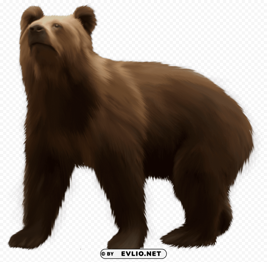 bear brown PNG Graphic Isolated with Clarity