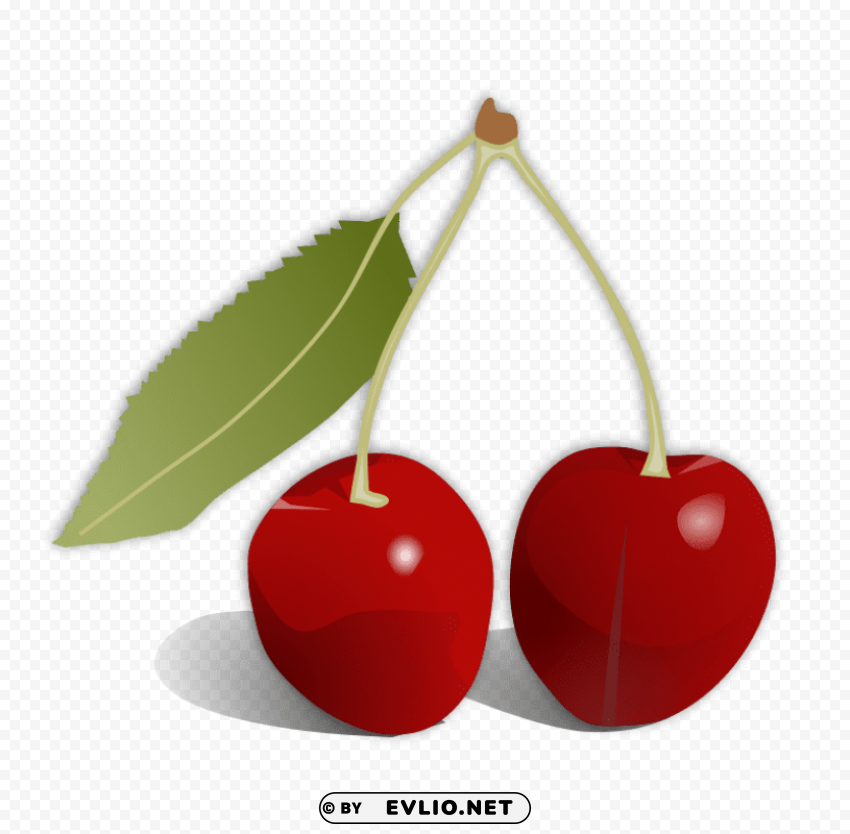 cherries PNG transparent artwork