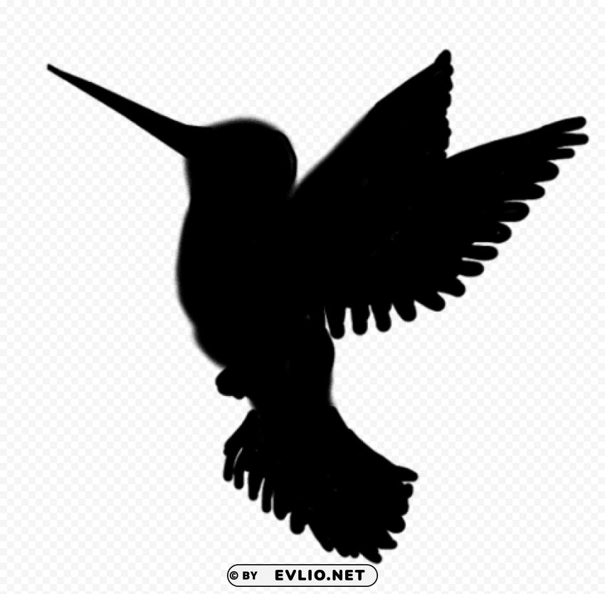 hummingbird silhouette Transparent Background PNG Isolation