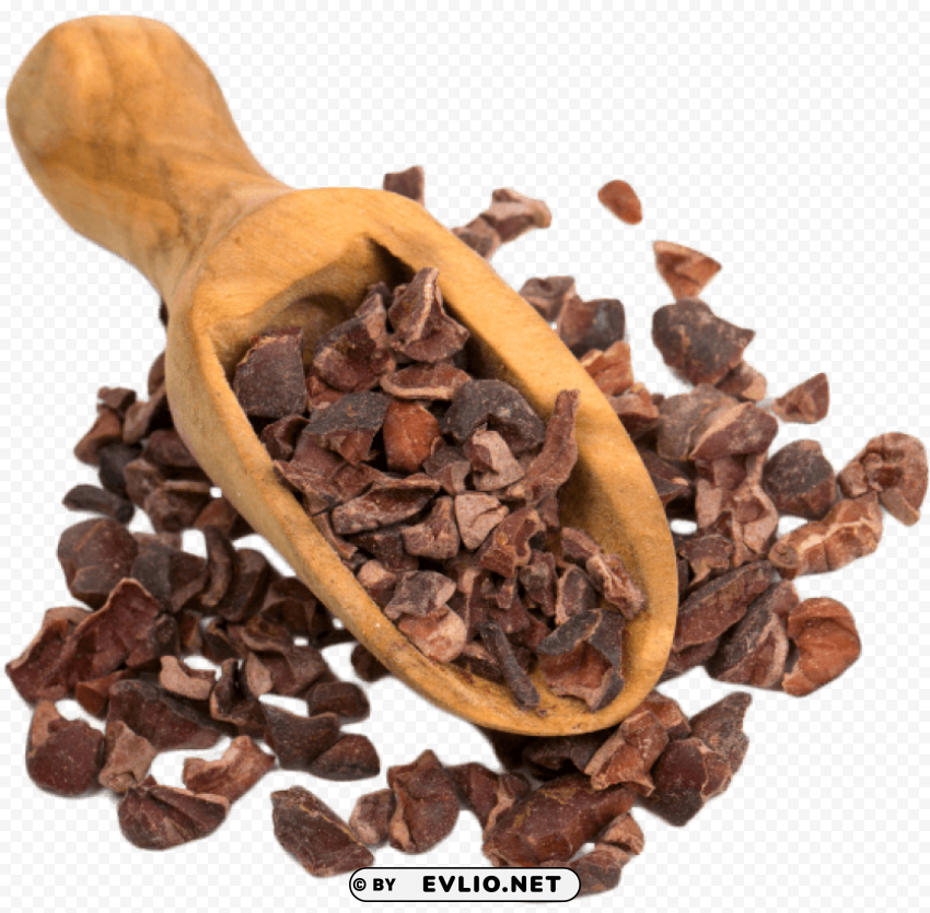 cacao Transparent PNG images wide assortment