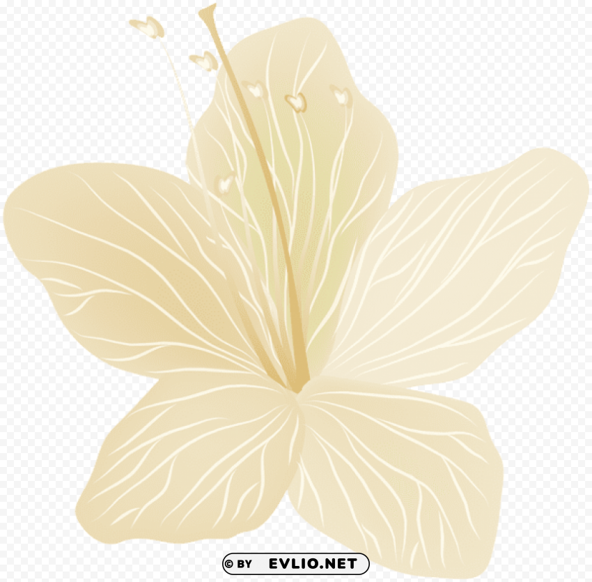 Flower Transparent PNG Files With No Background Wide Assortment