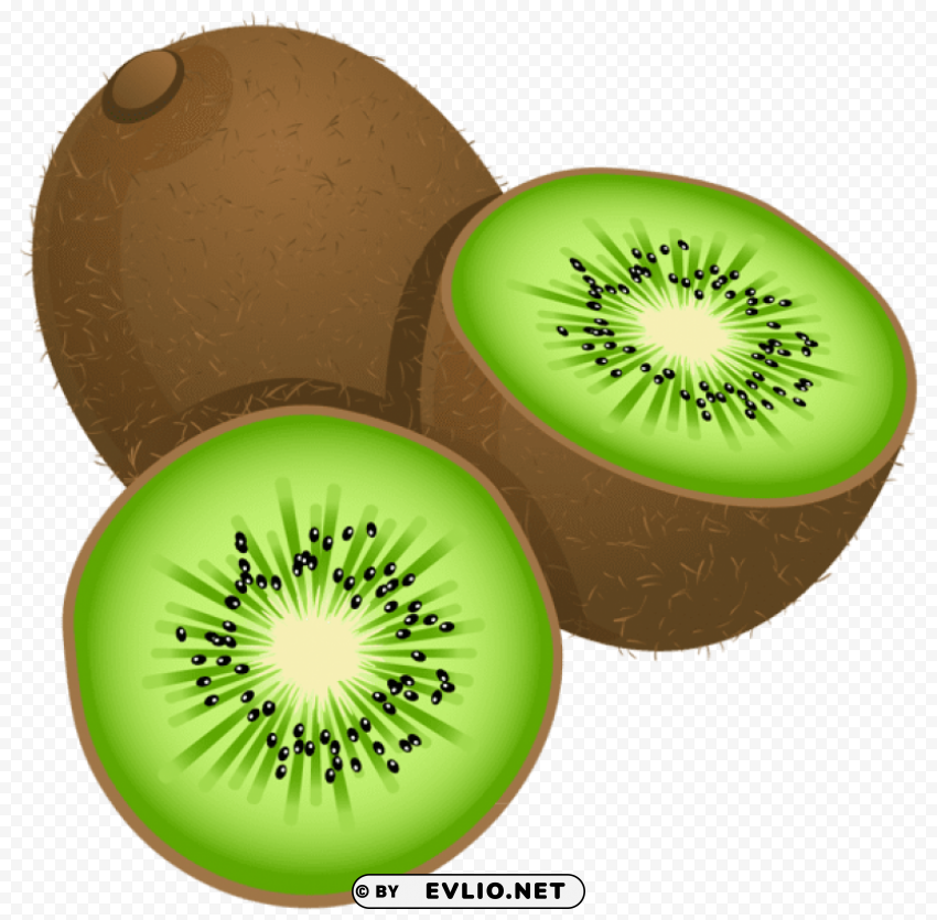 large painted kiwi frut HighQuality PNG Isolated Illustration