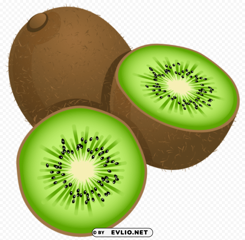 Large Painted Kiwi Frut HighQuality PNG Isolated Illustration