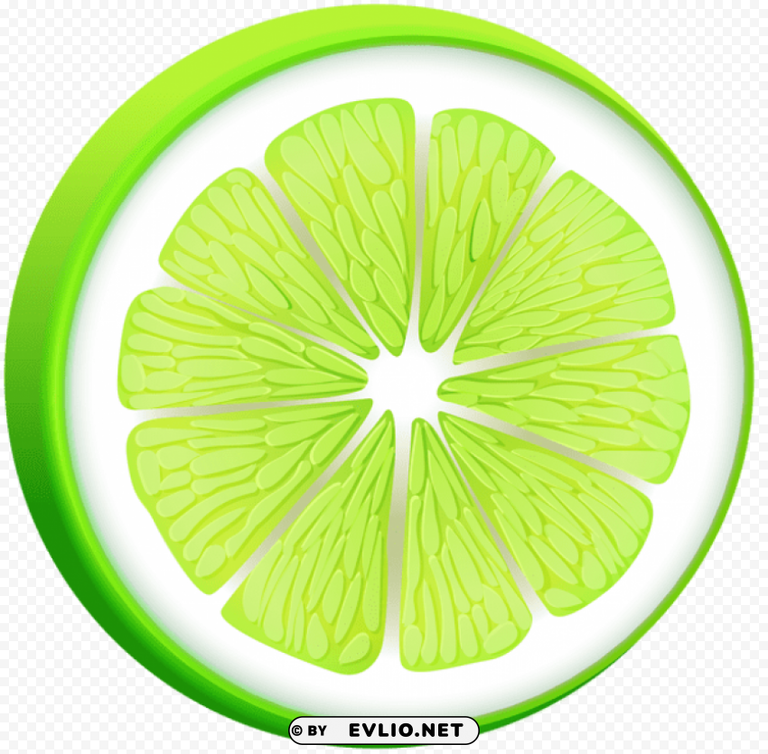 Lime PNG Graphic Isolated On Clear Backdrop