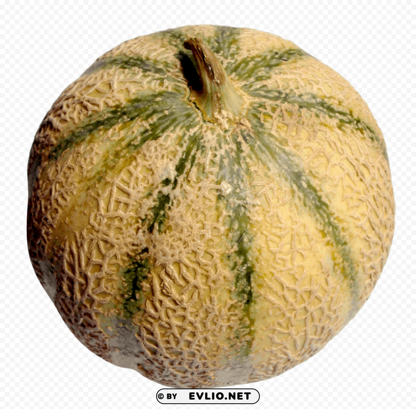Melon Isolated Subject with Clear PNG Background