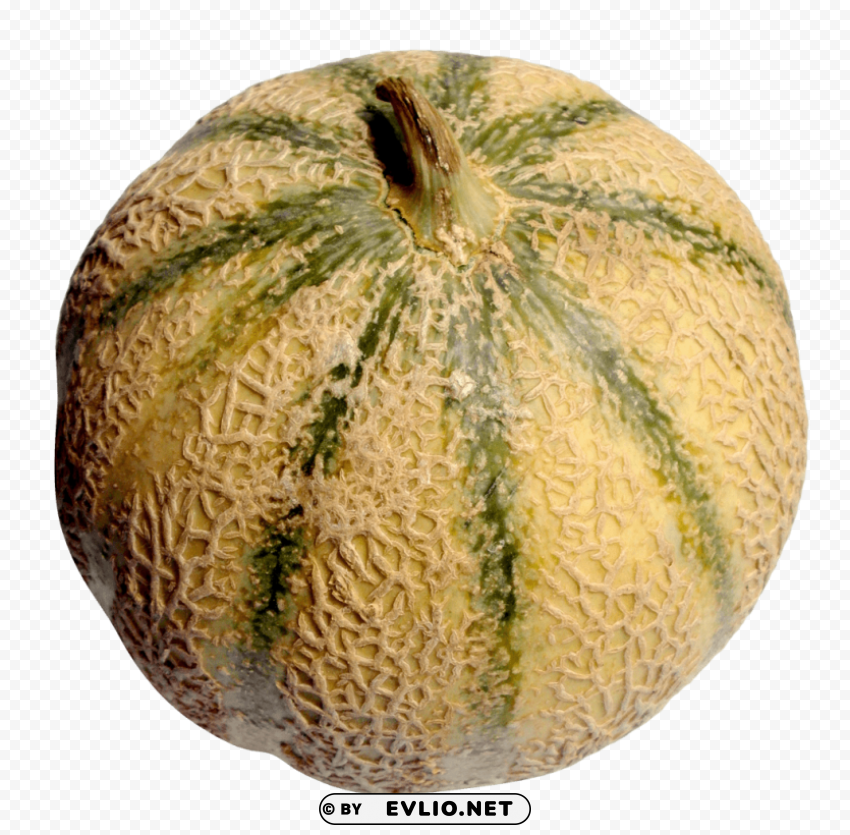 melon PNG images with no background necessary