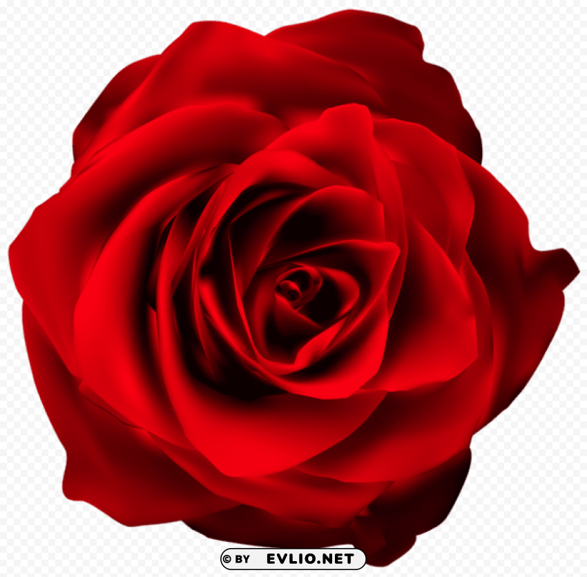 Red Rose Isolated Artwork In Transparent PNG Format