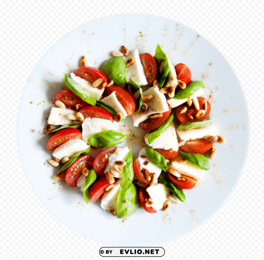 tomato salad Isolated Character in Transparent PNG Format