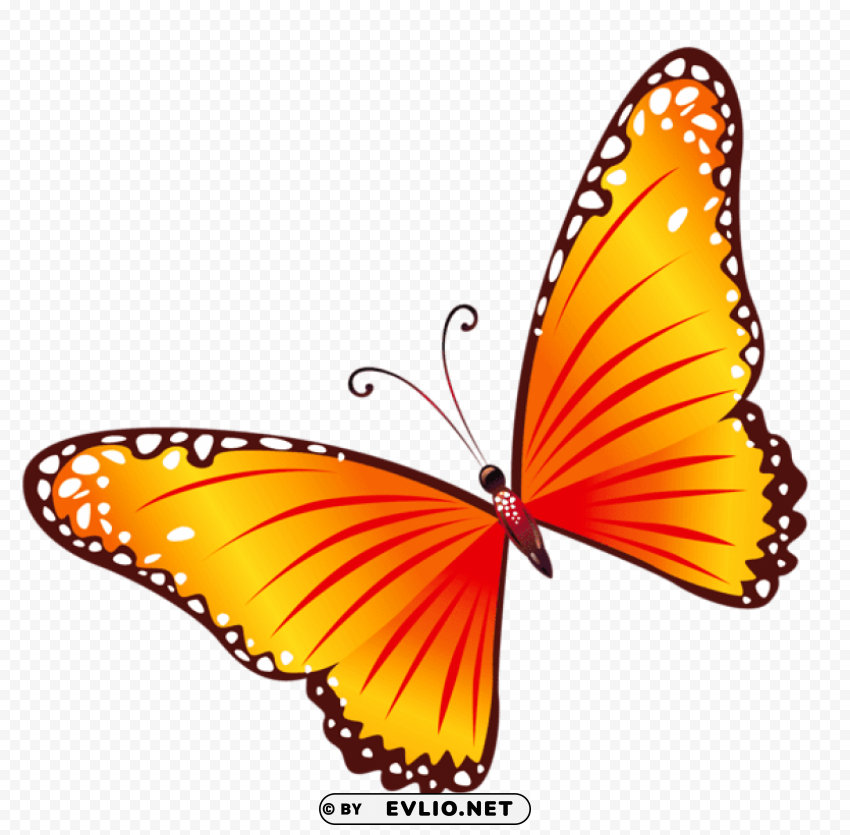  orange butterfly Isolated Character in Transparent PNG clipart png photo - c0f02af3