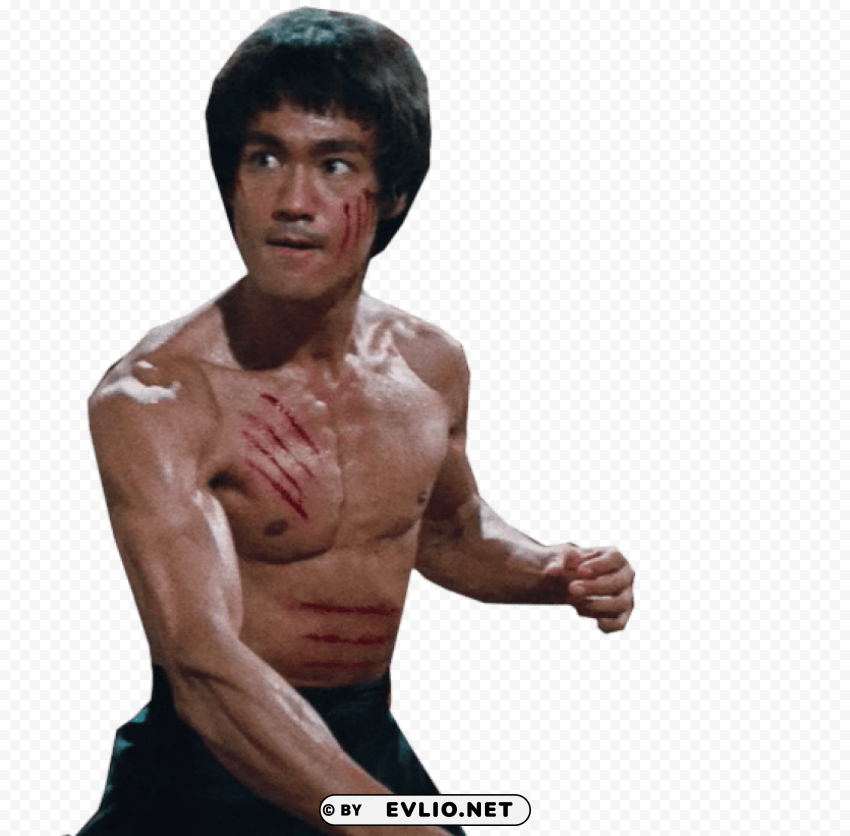 bruce lee PNG Image with Isolated Icon