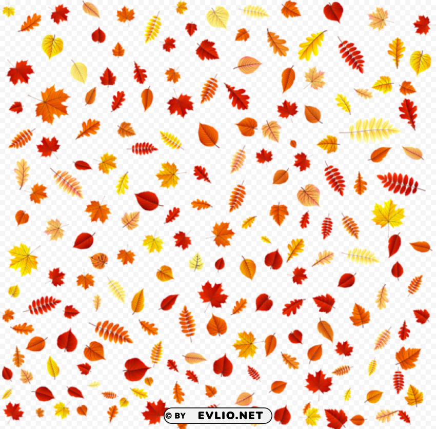 fall leaves overlay PNG images with transparent elements