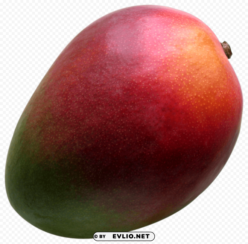 Fresh Mango PNG images for personal projects