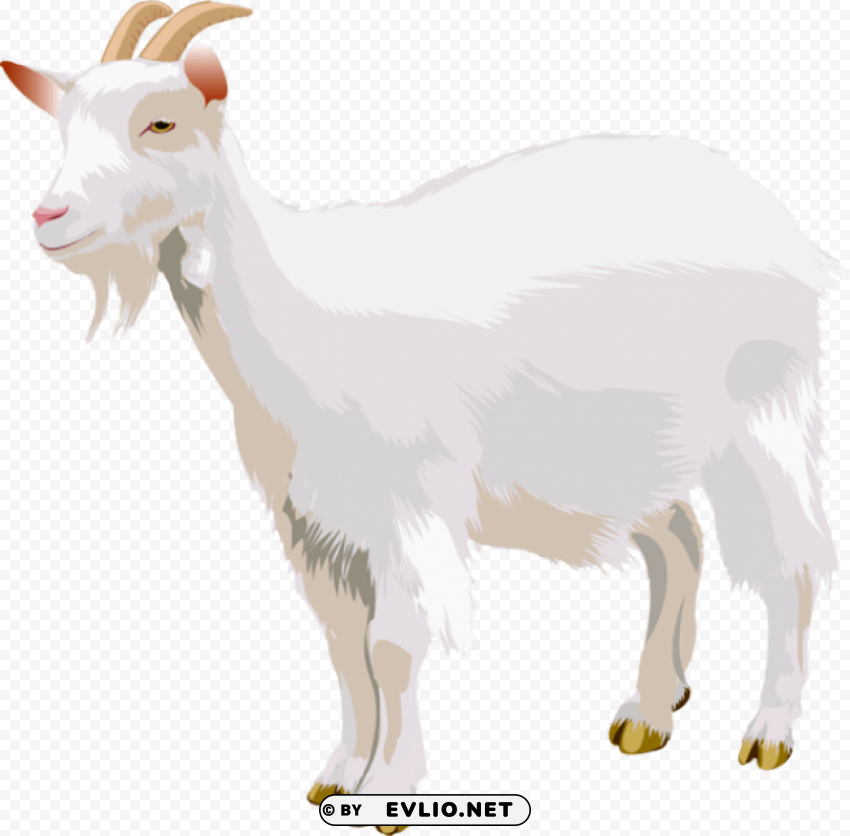 goat High-resolution PNG images with transparency wide set