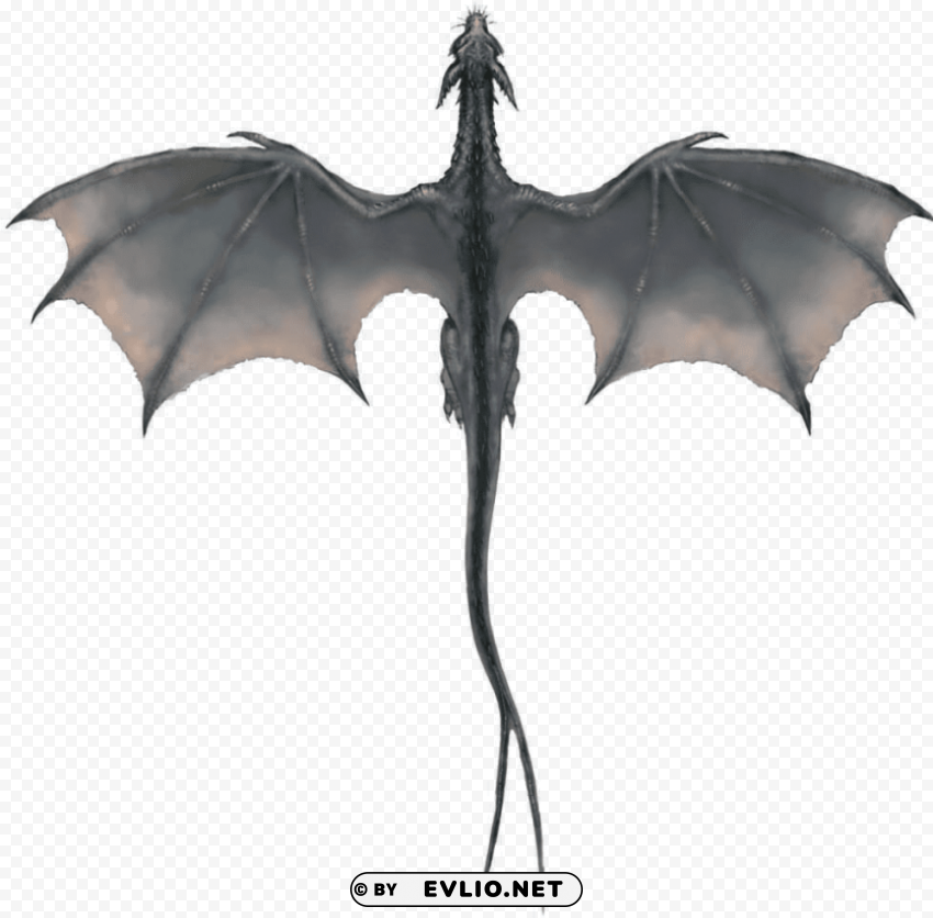 Gray Dragon High-resolution PNG Images With Transparency