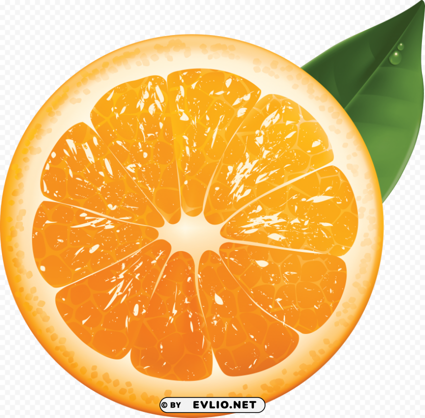 orange Transparent PNG Isolated Graphic with Clarity clipart png photo - 2b297cc0