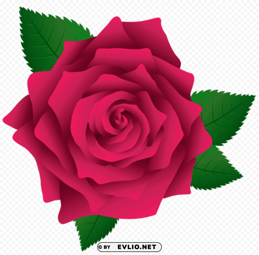 Pink Rose PNG For Free Purposes