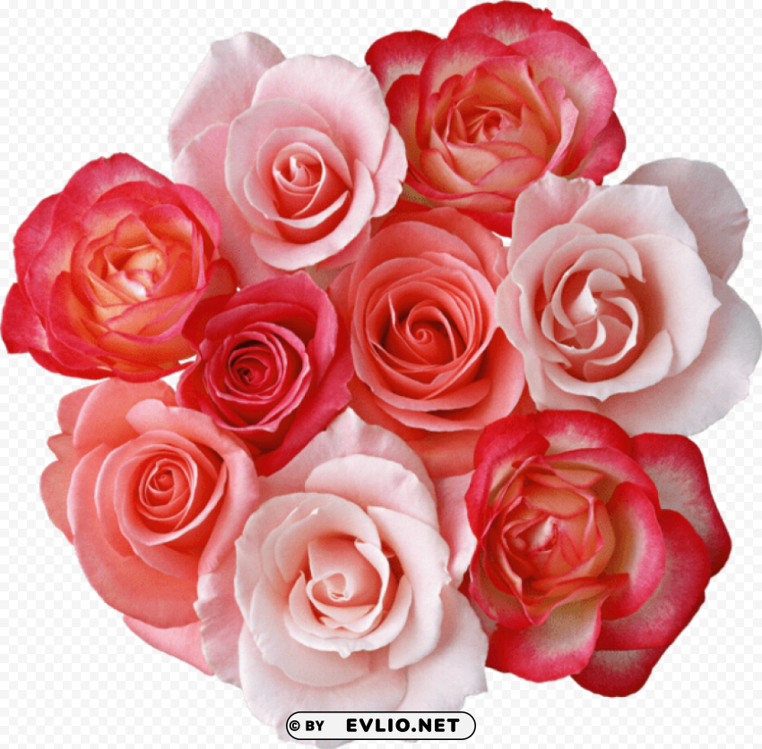 Roses Bouquet ClearCut Background Isolated PNG Design