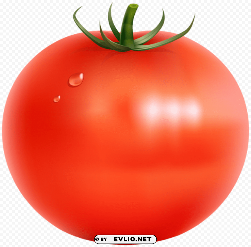tomato Free PNG images with transparent layers diverse compilation