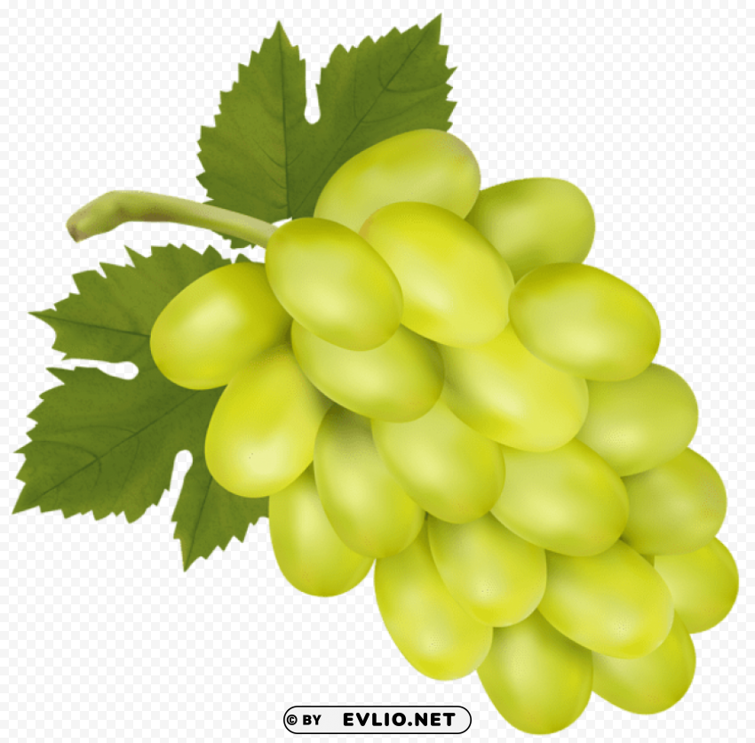white grape PNG files with transparent canvas extensive assortment