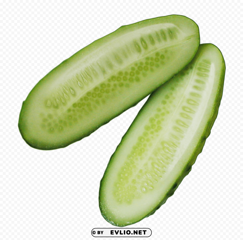 cucumber slice Transparent Background Isolated PNG Art
