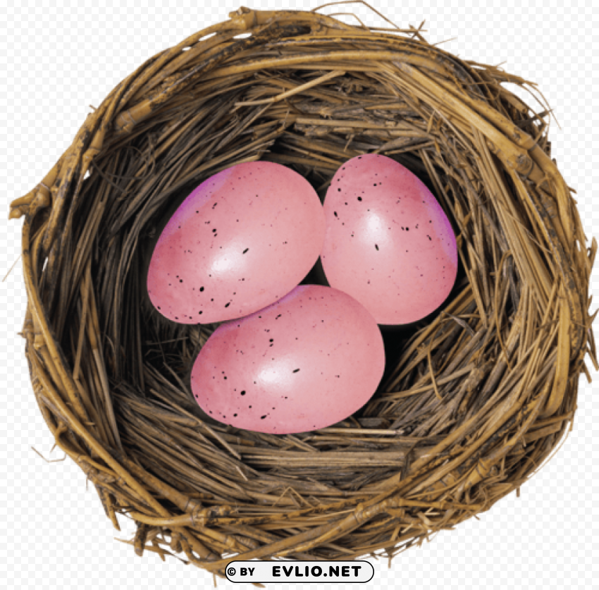 eggs Transparent PNG images with high resolution