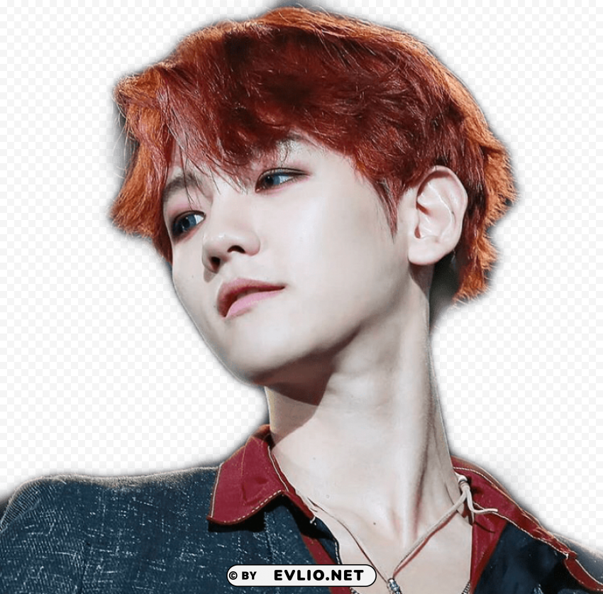 exo baekhyun blackpink jisoo Transparent PNG pictures archive PNG transparent with Clear Background ID 64a00709