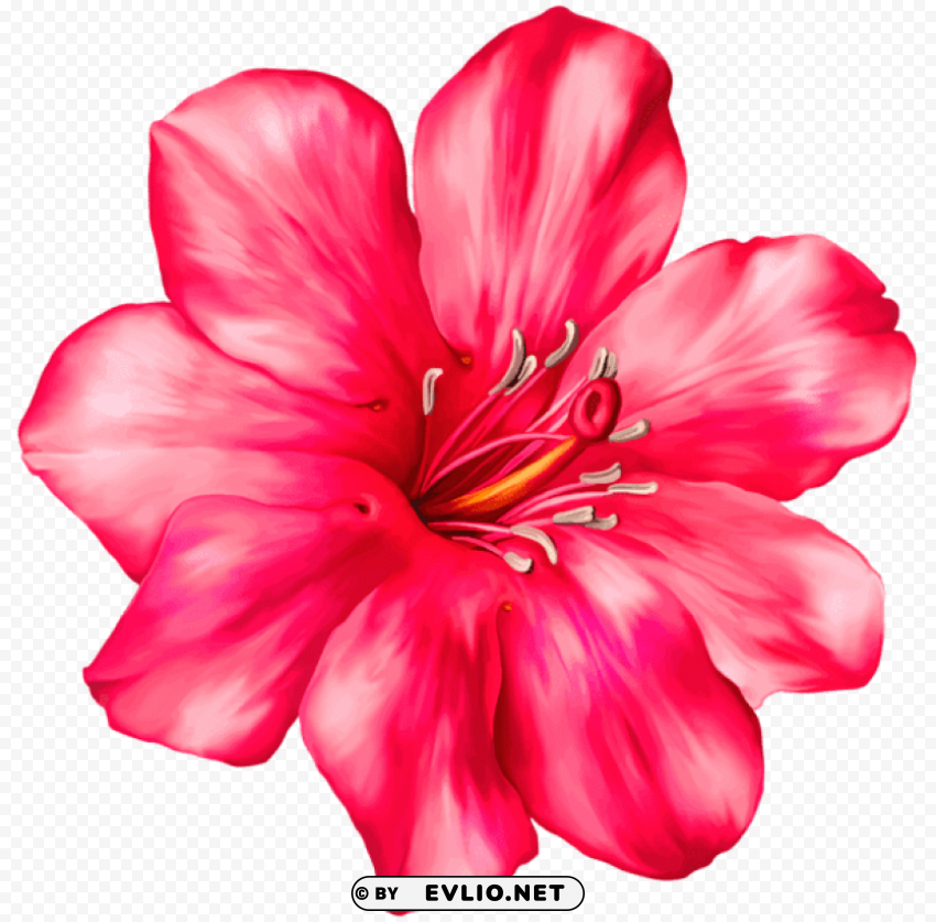 PNG image of exotic pink flowerpicture PNG pictures with no background required with a clear background - Image ID 74d8e189