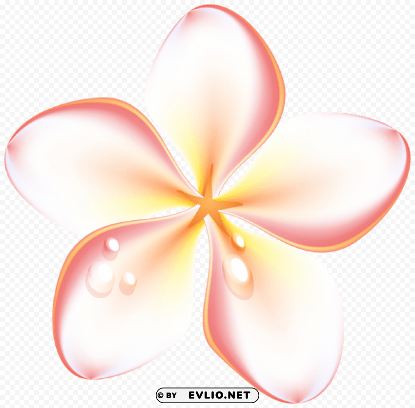 exotic summer flowers Transparent Background Isolation of PNG