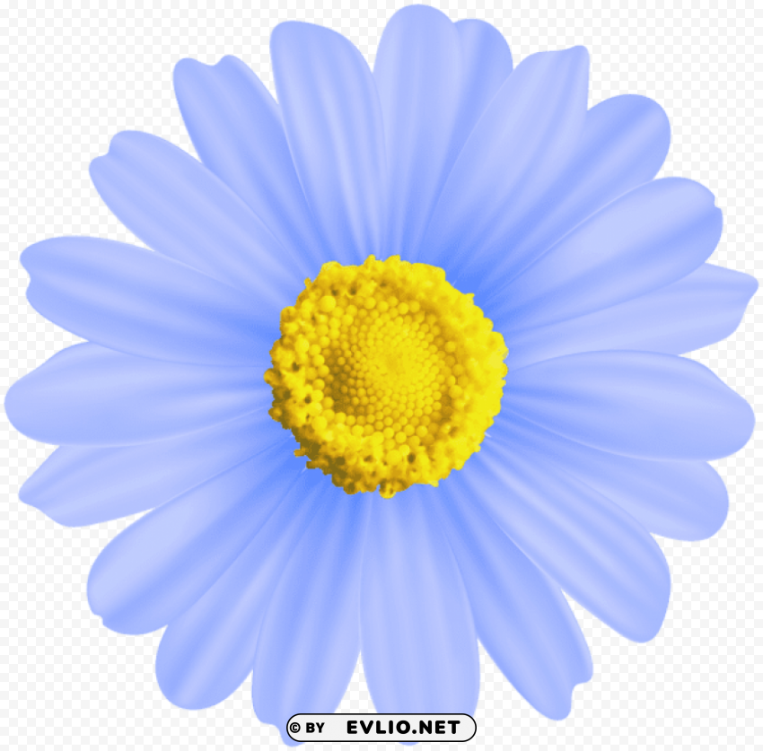 flower blue decorative transparent PNG Graphic with Clear Isolation