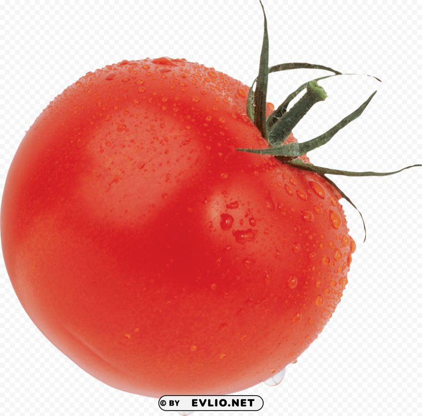 red tomatoes Free download PNG images with alpha channel diversity