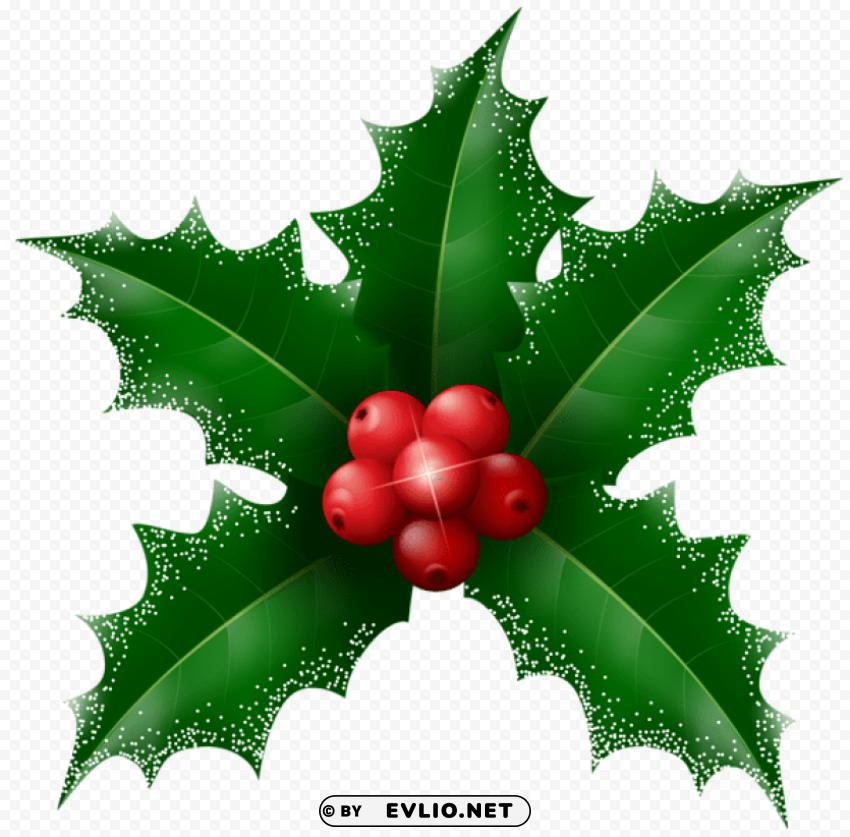 snowy holly mistletoe transparent Free PNG images with alpha channel variety