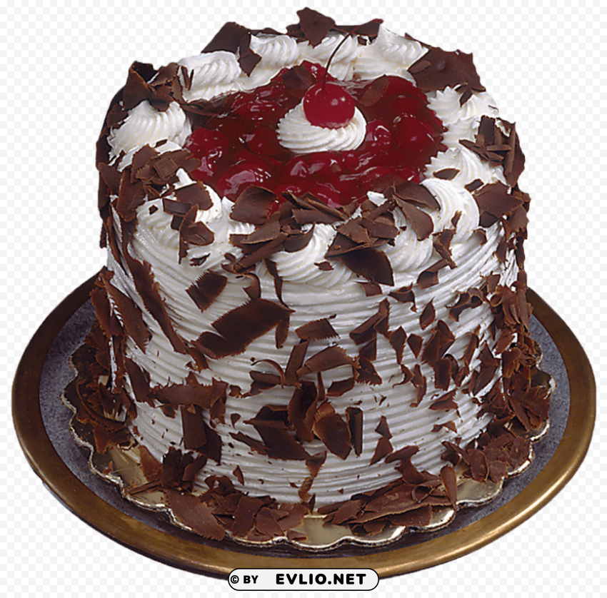 chocolate cake Isolated Character in Transparent PNG Format