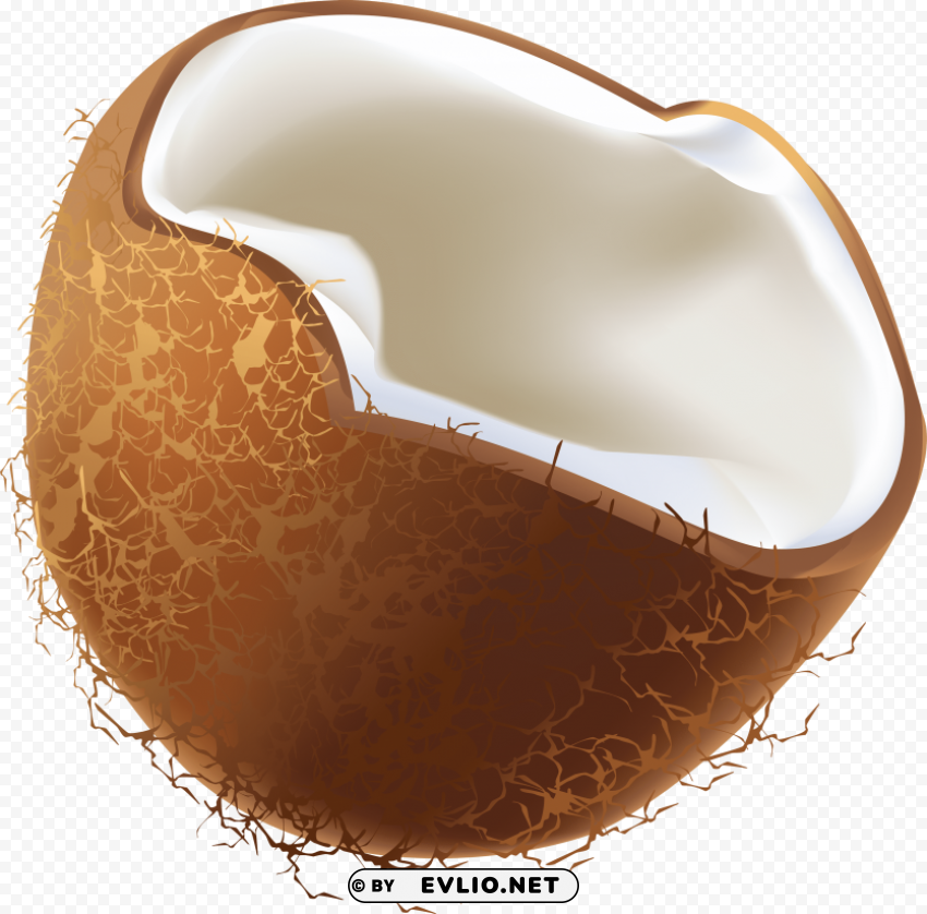 coconuts PNG pics with alpha channel