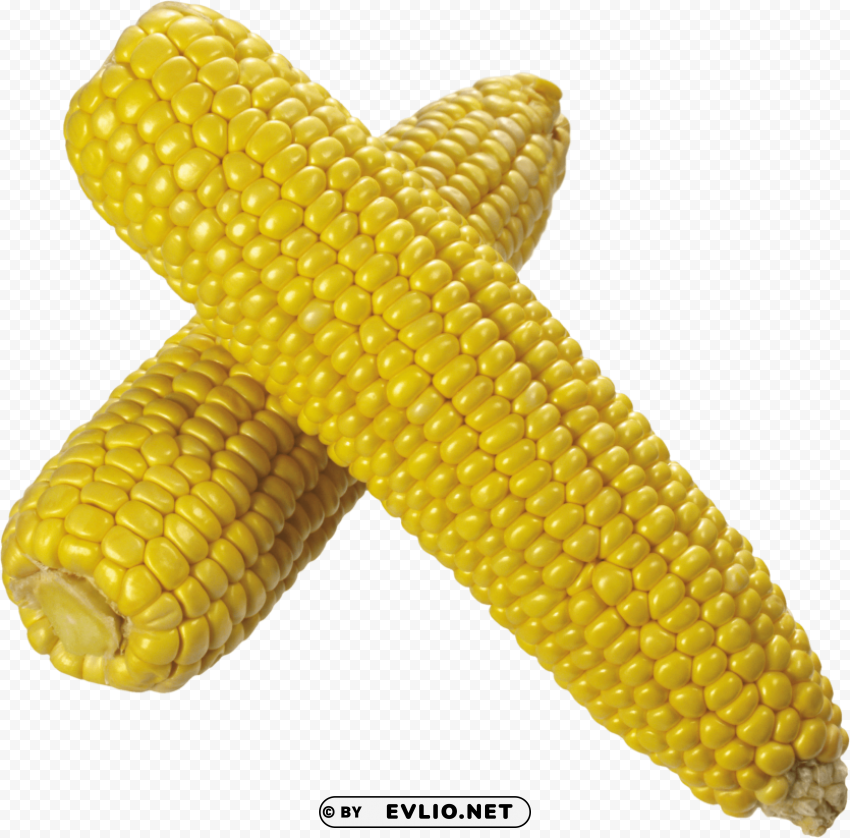 corn Clear PNG images free download