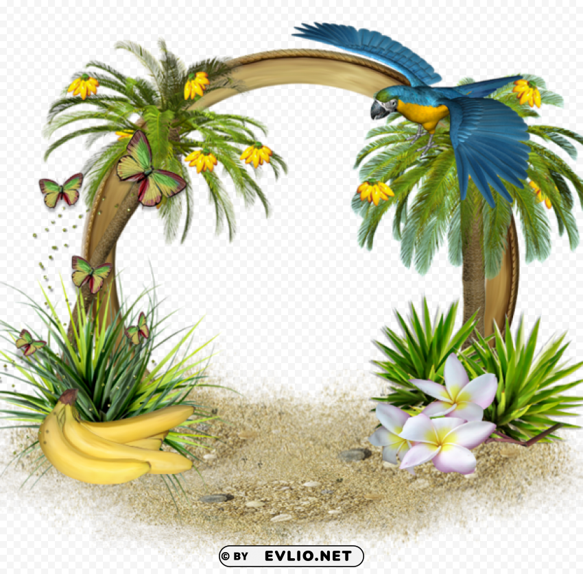 Round Exotic Frame Transparent PNG Illustrations