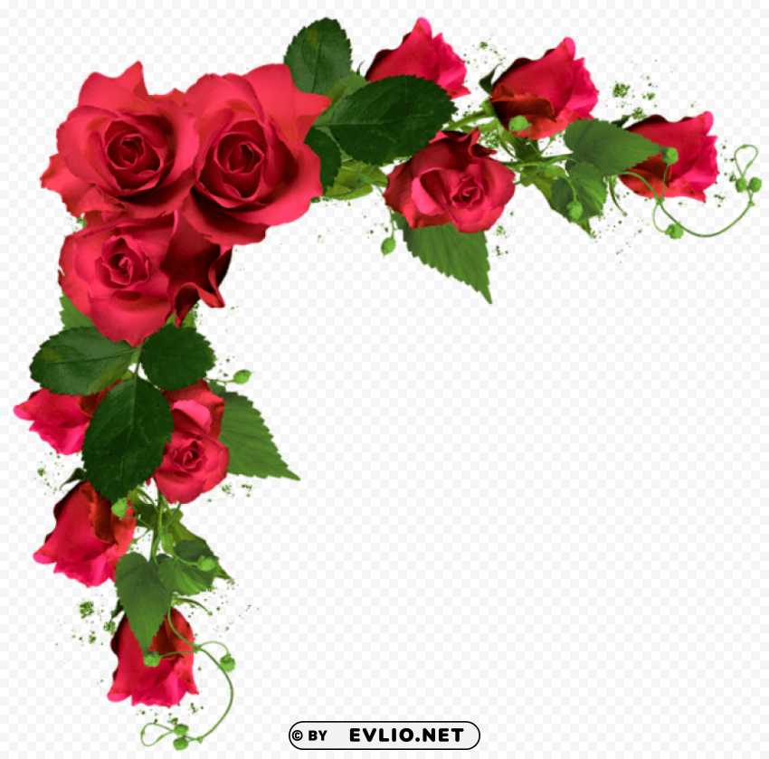 beautiful decor with rosespicture Transparent PNG Isolated Subject