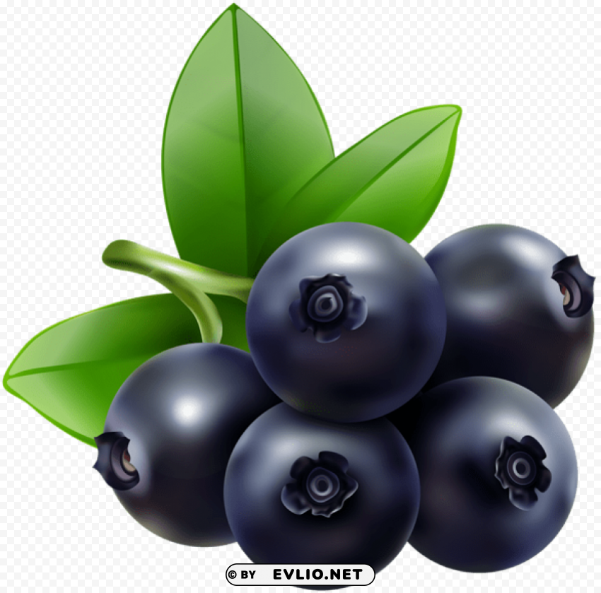 blueberry Free PNG images with transparent background