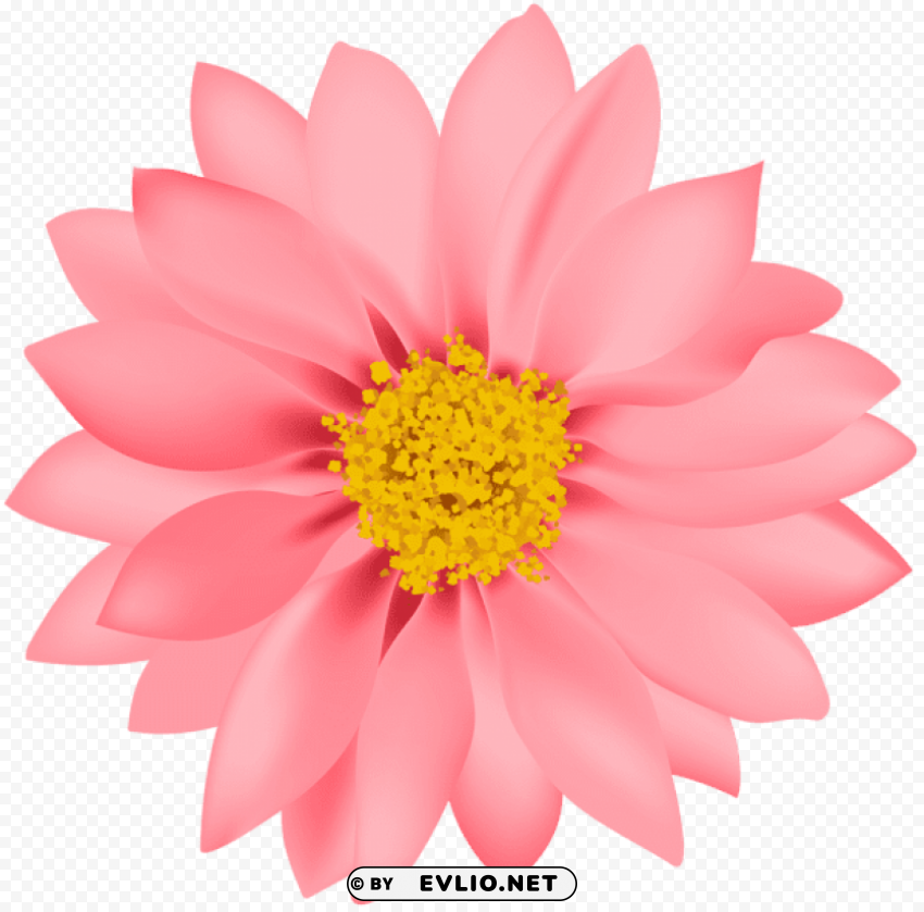 flower transparent PNG images for editing