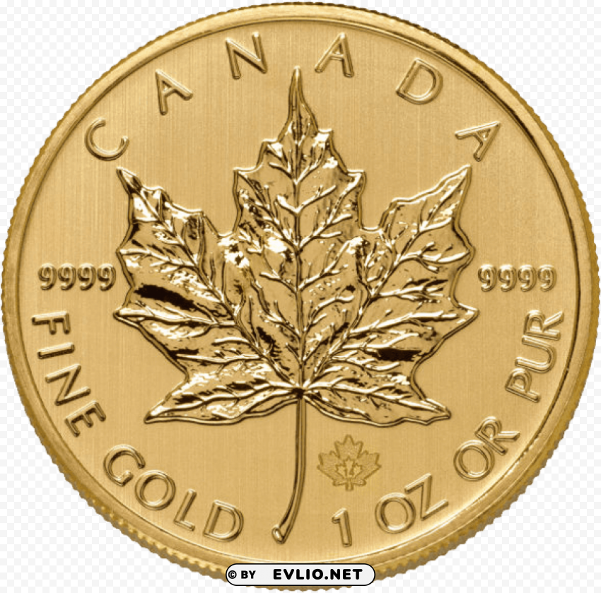 gold coins Isolated Item in HighQuality Transparent PNG