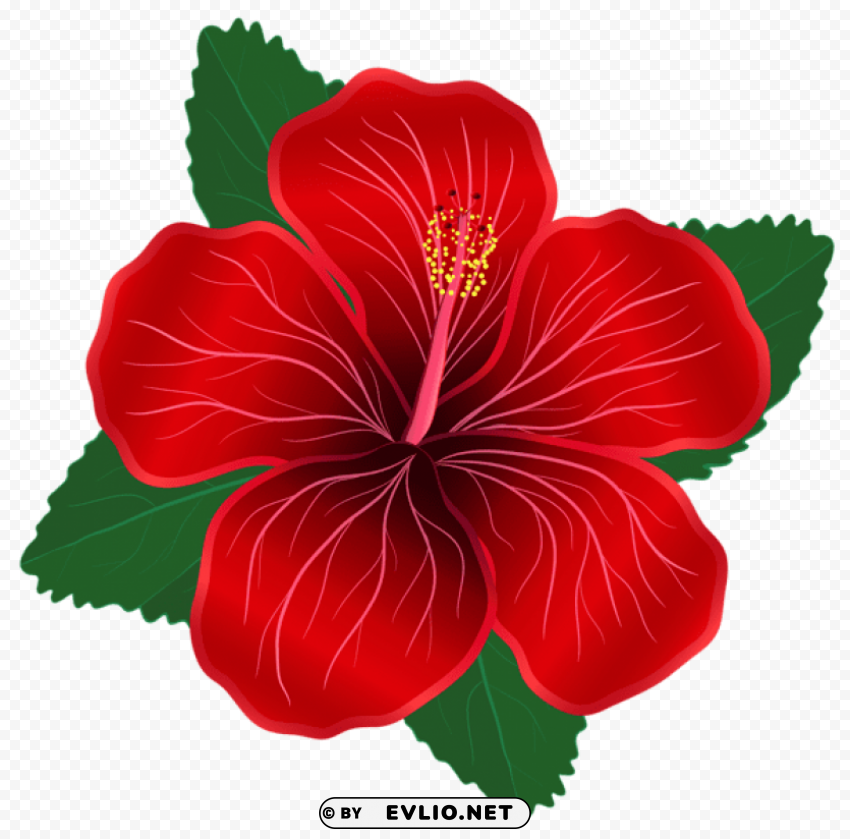 red flower PNG images with alpha transparency diverse set