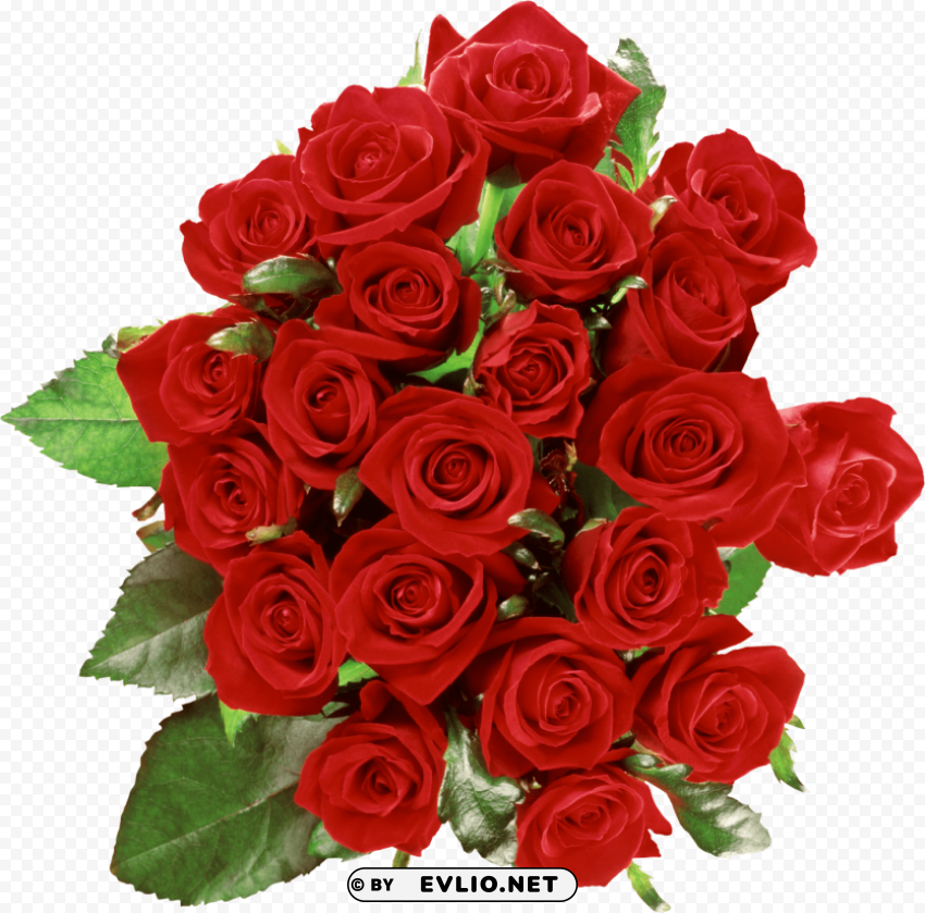 PNG image of red rose Free PNG file with a clear background - Image ID 71ed5423