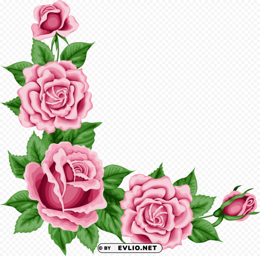 roses corner border PNG photo with transparency
